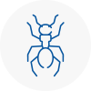 Ant Removals In Brierly Hill