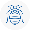 Bed Bug Extermination In Brierly Hill