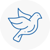 Bird Prevention Brierly Hill