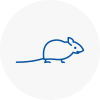 Mice Exterminators In Brierly Hill