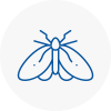 Moth Control Specialists In Brierly Hill