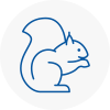 Brierly Hill Rodent Removals